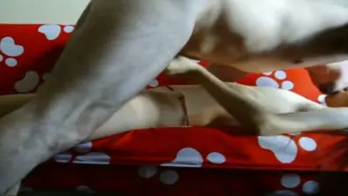 Live ABG Bispak Hotel Bintang Lima Skandal Viral HD